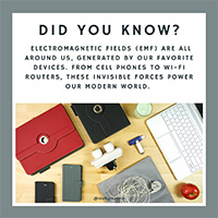 Exploring Electromagnetic Fields (EMF) and Their Potential Health Effects: Fact vs. Fiction
